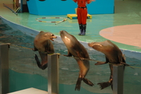 南紀白浜の旅(2)~優勝祈願~