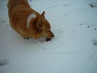 0801雪遊び~A Happy New Year~