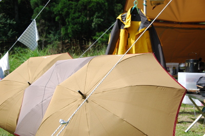 0906ホタル蛍ほたる・・・豪雨?~南光~
