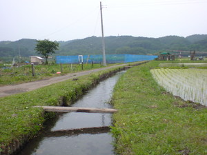 こゆのはどこか懐かしい風景だったりしませんか