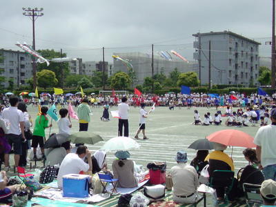 カツヲの小学校も盛り上がってます