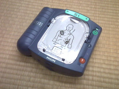 人体図がなんか生々しい