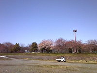 お花見~Duoキャン。