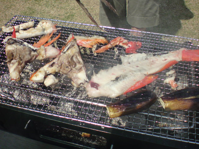 やっぱりホネの周りがウマイもの?