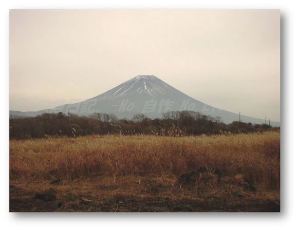 魔物に遭ってきました。