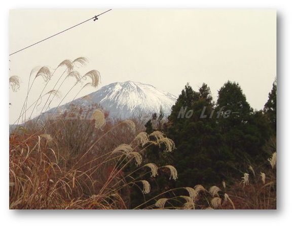 ずっと僕の左にいてくれないか。