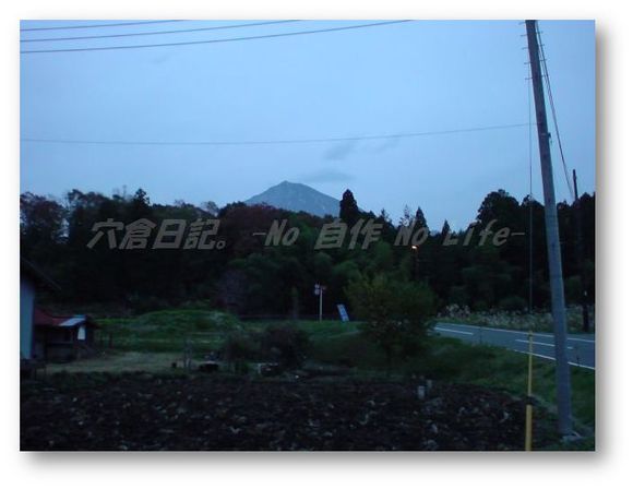 魔物に遭ってきました。