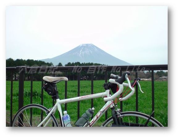 魔物に遭ってきました。