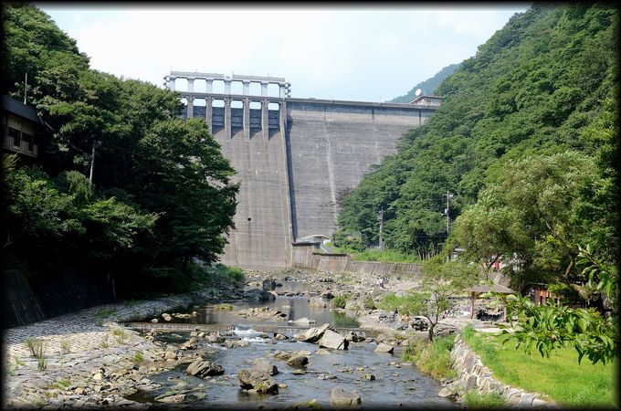 8月15,16日 中蒜山オートキャンプ場 ※※※流星※※※