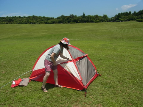 張ってみました^^