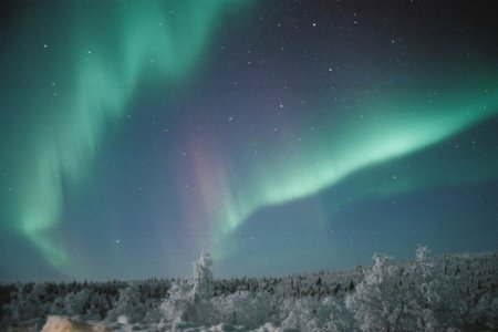 ノルウェー or デンマーク?