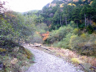 晩秋の中八ヶ岳(3)”中八ヶ岳?”