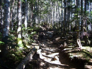 晩秋の中八ヶ岳(6)”箕冠山”