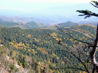 晩秋の中八ヶ岳(6)”箕冠山”