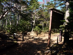 晩秋の中八ヶ岳(6)”箕冠山”