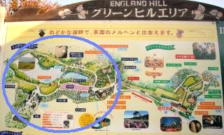 秋キャンIn淡路島2(イングランドの丘・壱)
