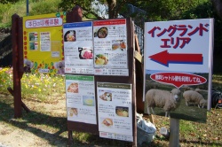 秋キャンIn淡路島2(イングランドの丘・壱)