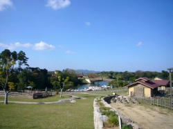 秋キャンIn淡路島2(イングランドの丘・壱)