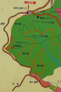 護摩壇山と森林公園　６（森林公園・前）