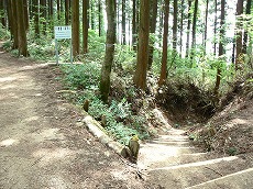 金剛山・郵便道3(登山道)