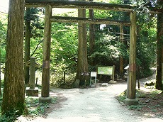 金剛山・郵便道5(下山)