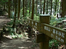 金剛山・郵便道5(下山)