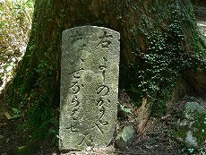 金剛山・郵便道3(下山)