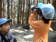 金剛山・郵便道3(下山)
