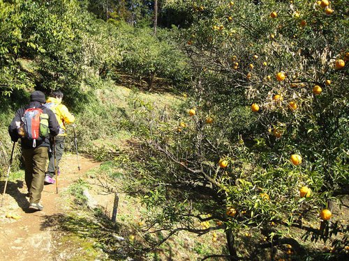 ゆうパークおごせ&大高取山登山