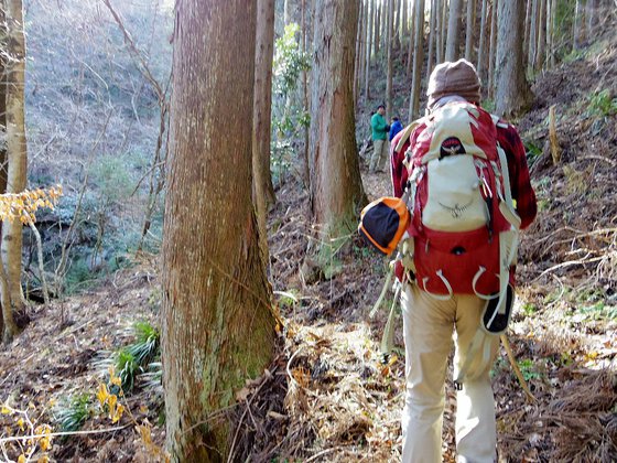 土岳登山&小滝沢キャンプ場 土岳登山&小滝沢キャンプ場