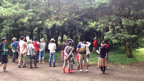 「森の感謝祭」byホウリーウッズ久留里キャンプ村 「森の感謝祭」byホウリーウッズ久留里キャンプ村