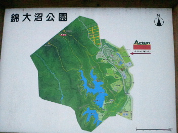 約8キロ