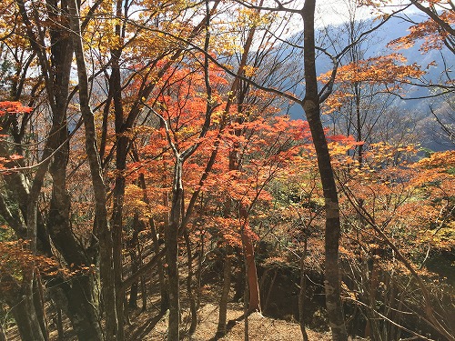 行者還岳 ナメゴ谷紅葉 90 行者還岳 ナメゴ谷紅葉 90