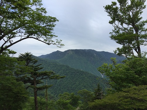 久しぶりに2週連続登山したぜ~ 行者還岳 96 久しぶりに2週連続登山したぜ~ 行者還岳 96