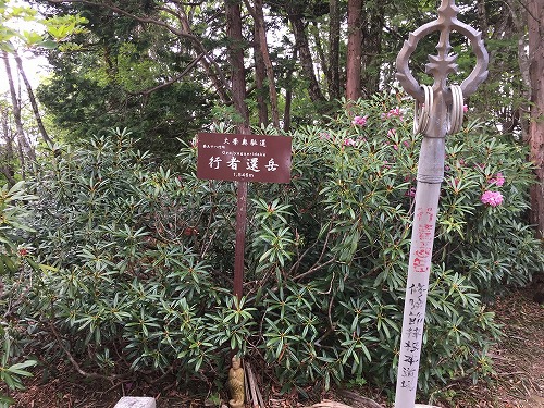 久しぶりに2週連続登山したぜ~ 行者還岳 96 久しぶりに2週連続登山したぜ~ 行者還岳 96