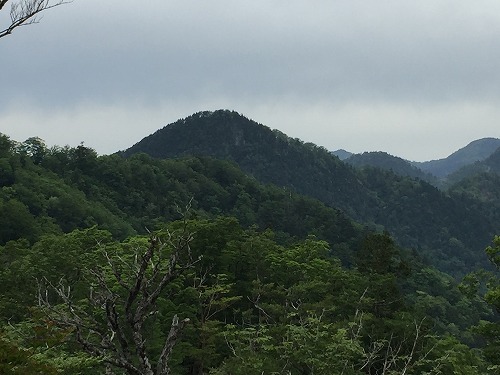 久しぶりに2週連続登山したぜ~ 行者還岳 96 久しぶりに2週連続登山したぜ~ 行者還岳 96