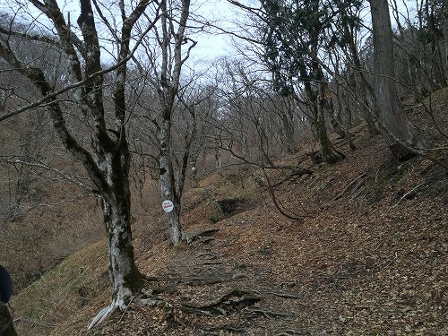 堂満岳~武奈ヶ岳 58 堂満岳~武奈ヶ岳 58