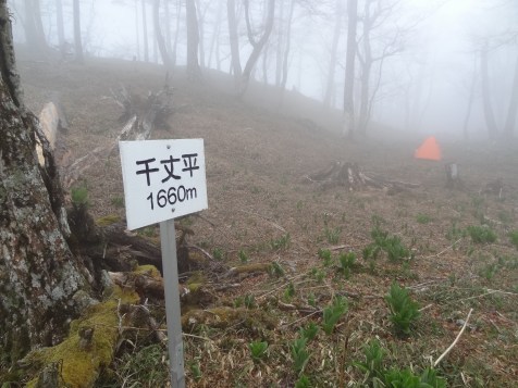 釈迦ヶ岳　ハイキングコース   30