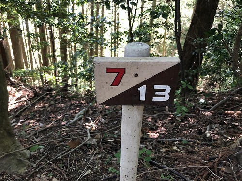 岩湧山 99 嫁(28) ヤッホー ホーホケキョ 岩湧山 99 嫁(28) ヤッホー ホーホケキョ