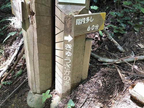 岩湧山 99 嫁(28) ヤッホー ホーホケキョ 岩湧山 99 嫁(28) ヤッホー ホーホケキョ