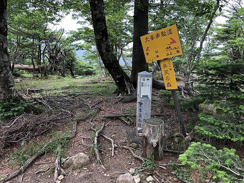 祝 100登山!! 弥山八経ヶ岳テント泊 100 祝 100登山!! 弥山八経ヶ岳テント泊 100