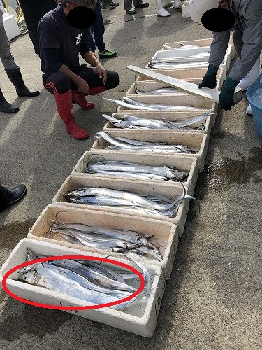 2週連続船釣り 2週連続船釣り