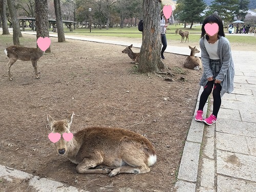 春休み 2 春休み 2