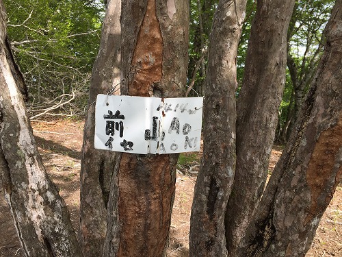 登山再開かも!! 明神平 98 登山再開かも!! 明神平 98