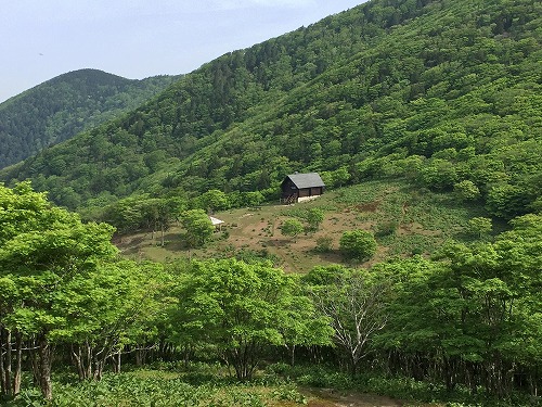 登山再開かも!! 明神平 98 登山再開かも!! 明神平 98