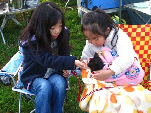 成田ゆめ牧場でニャー(笑)