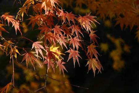 亀山オートキャンプ場で亀沼大商談会?(爆)