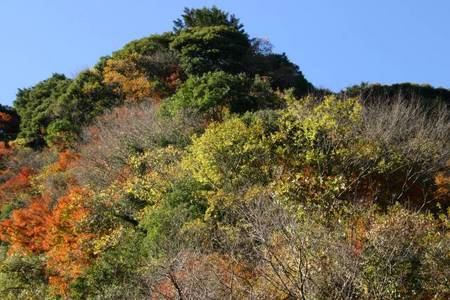 亀山オートキャンプ場で亀沼大商談会?(爆)