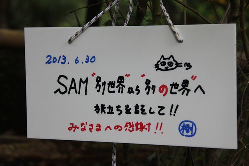 フォレストパーティ峰山(SAMさん卒業キャンプ)