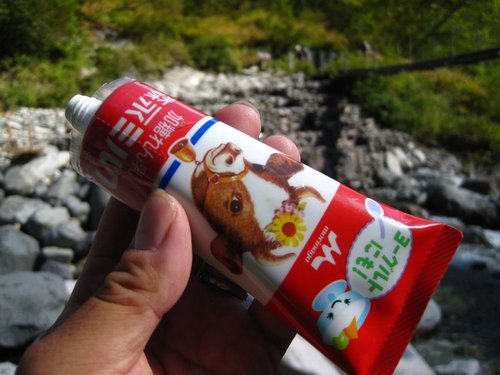 はじめまして、北アルプス!(奥穂高岳)